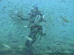 Balmorhea - SCUBA diver feeding fish