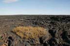 Craters of The Moon